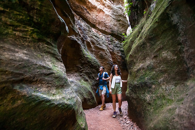 © Instituto de Turismo de la Región de Murcia