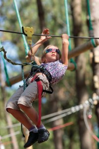 Parcours aventure dans les arbres.