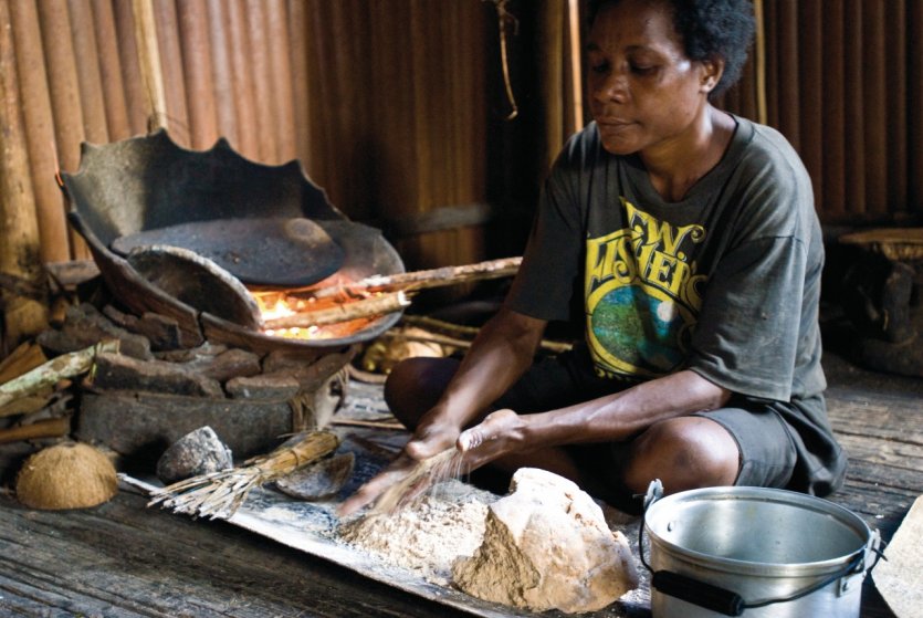 Préparation de galette de Sagou dans le Moyen-Sepik.