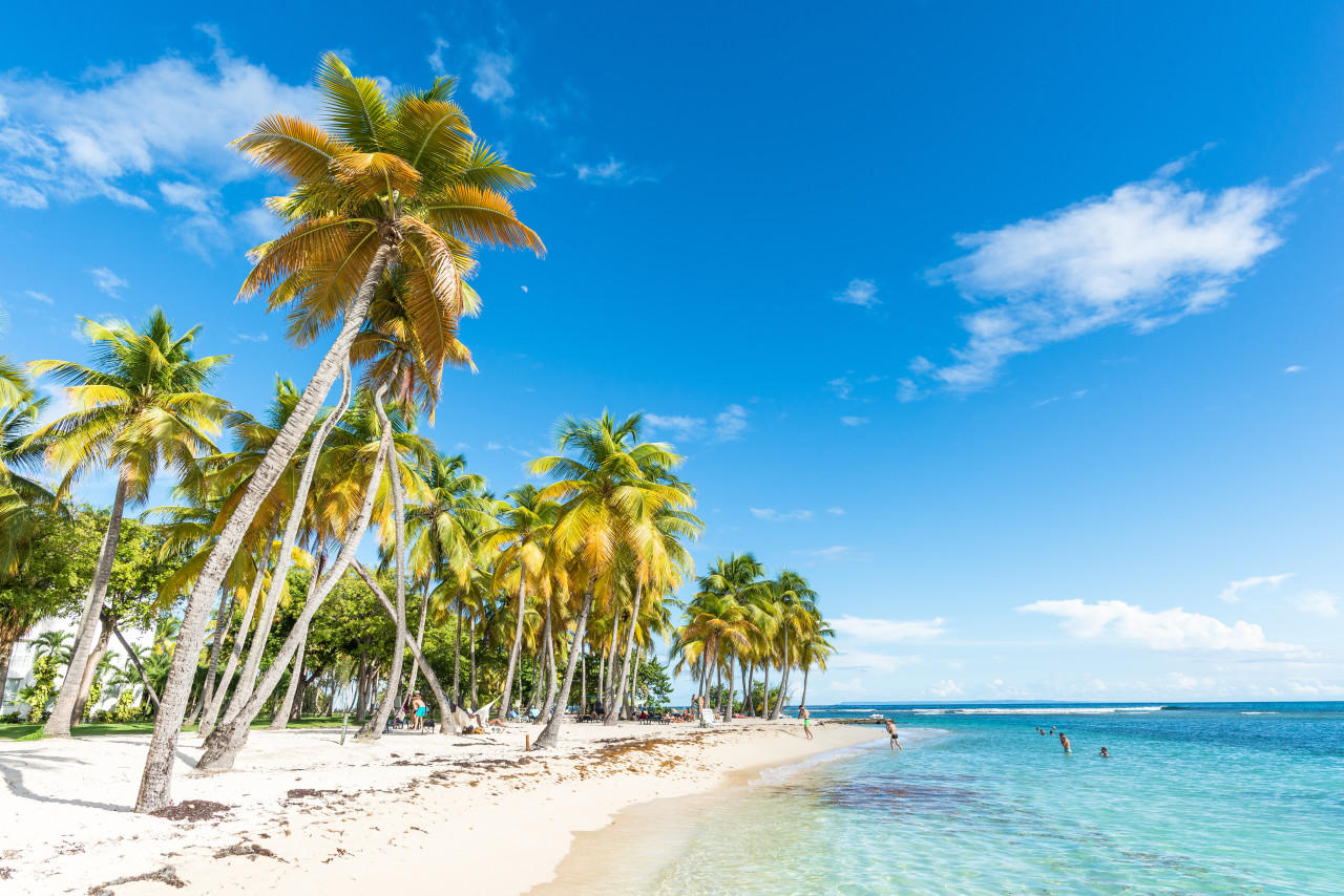 Plage de la Caravelle, Guadeloupe.