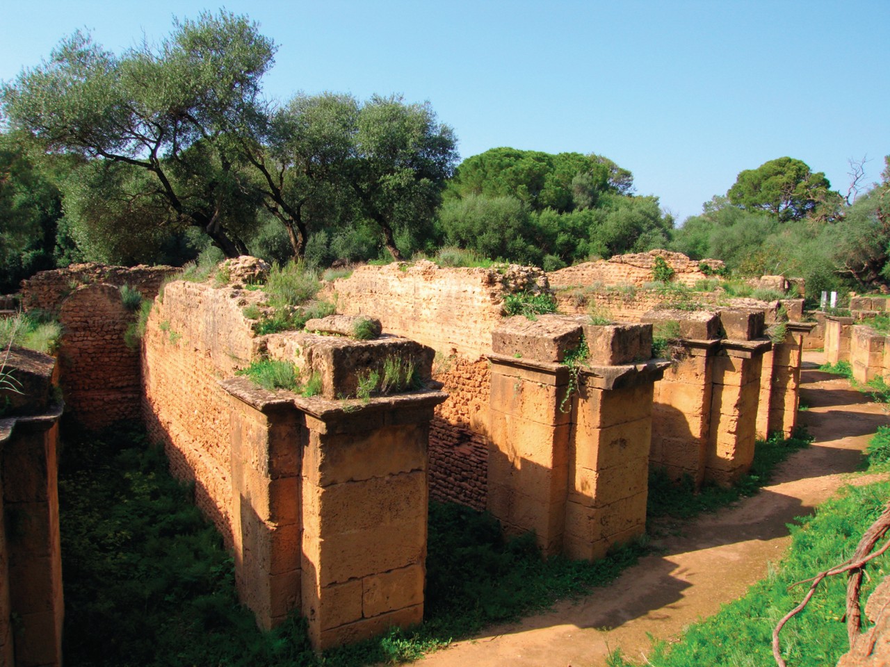 Site archéologique de Tipasa.