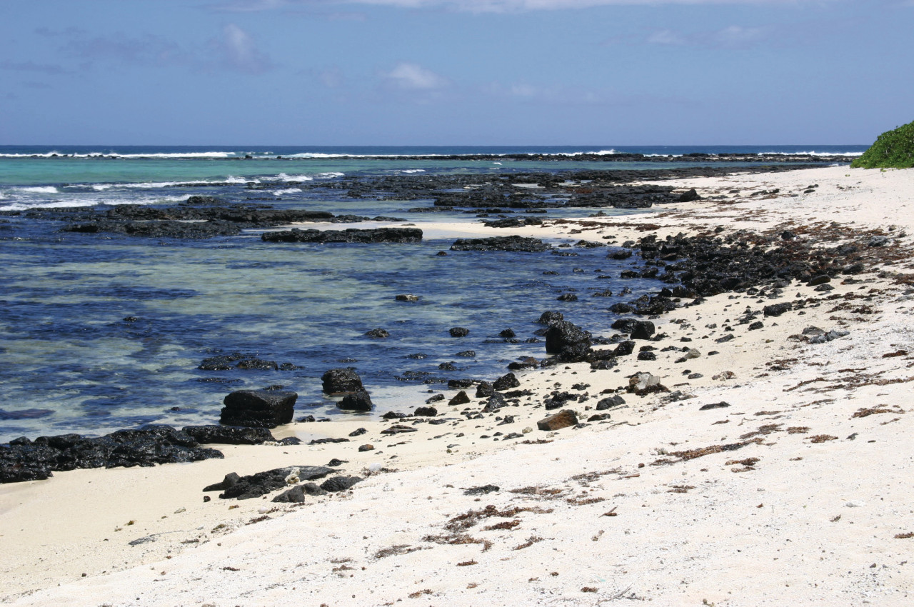 Plage sauvage.