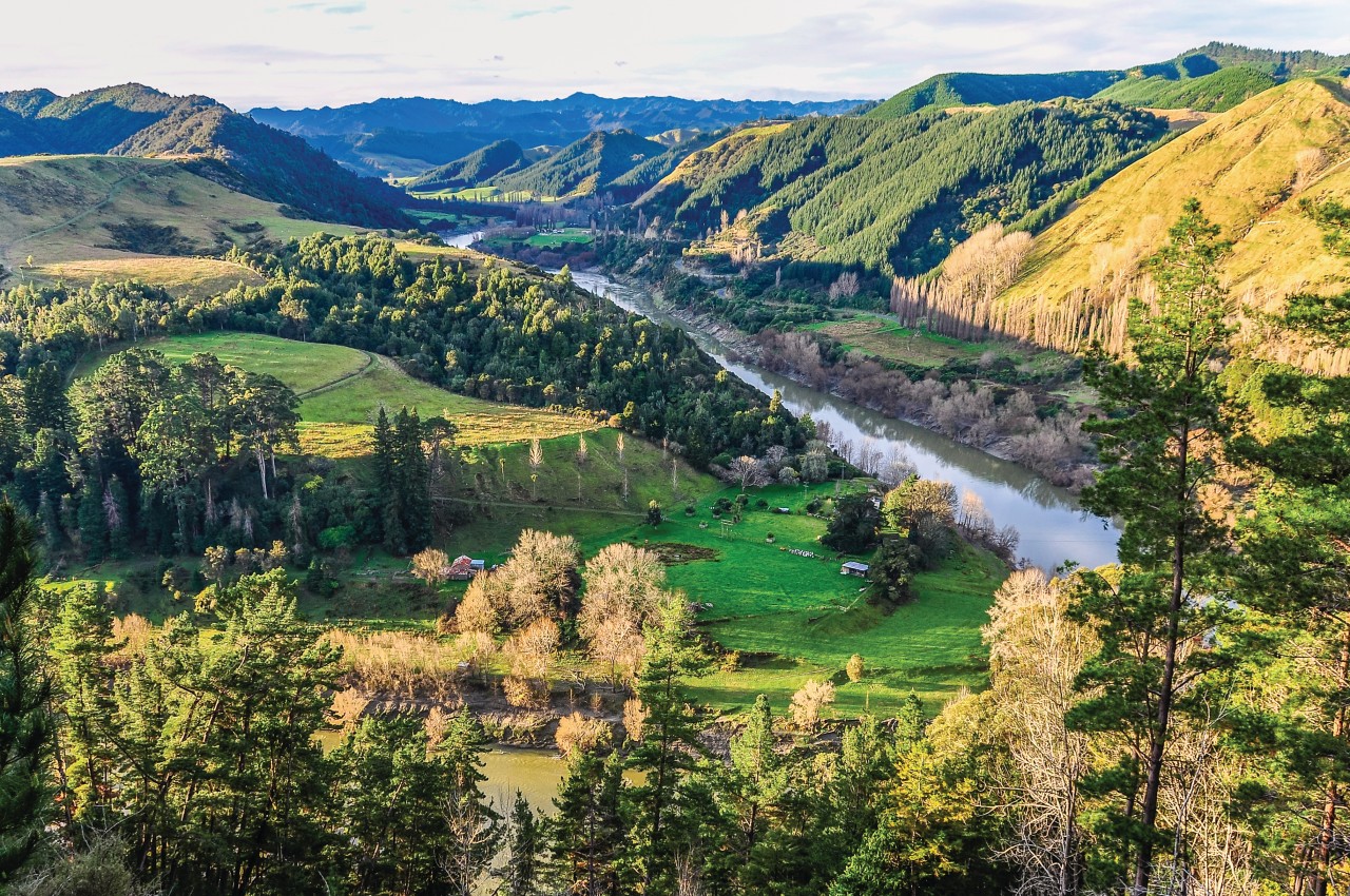 Whanganui National Park.