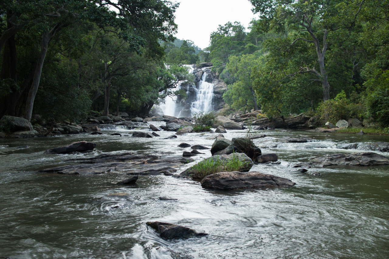 Chutes de Thuvanam, Chinnar Wildlife Sanctuary.