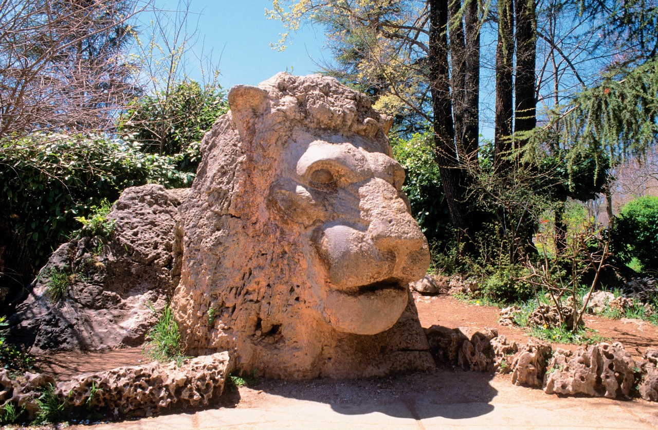 Ifrane, le lion de l'Atlas.