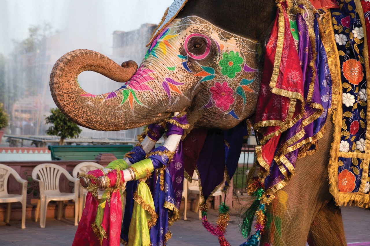 Gangaur festival de Jaipur.