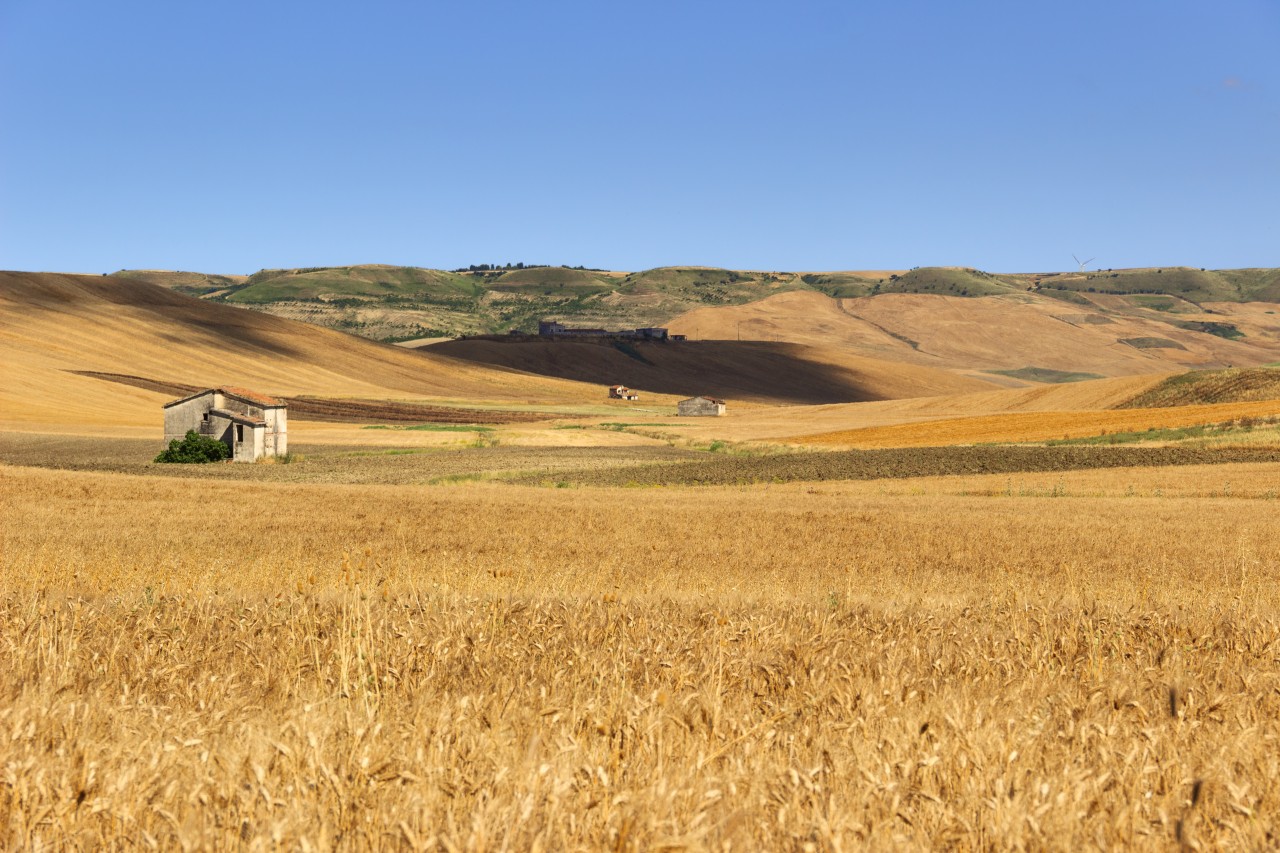 <p>Entre la région des Pouilles et Basilicate.</p>