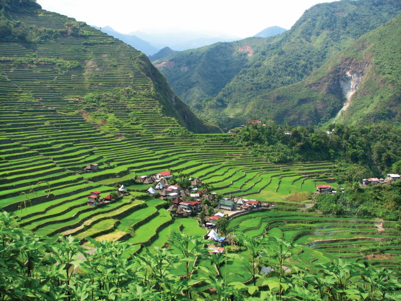 Banaue.