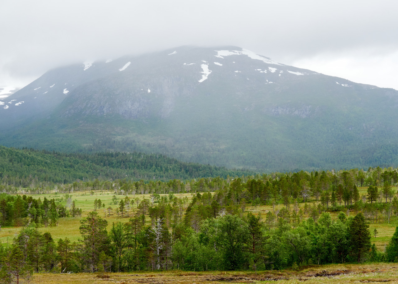 <p>Vallée d'Anderdalen.</p>