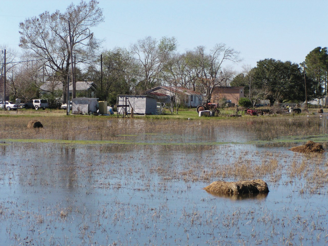 Crystal Rice Plantation.