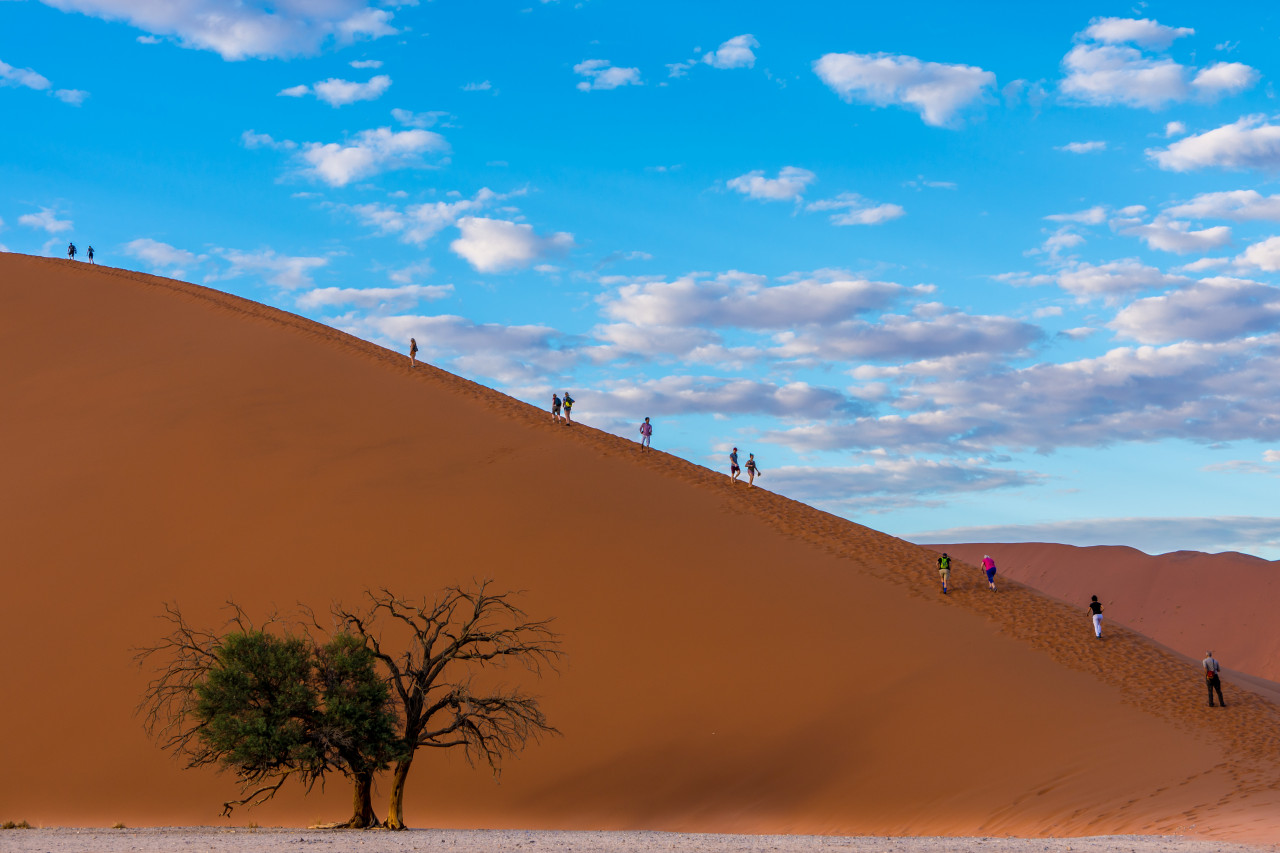 Ascension de la Dune 45.