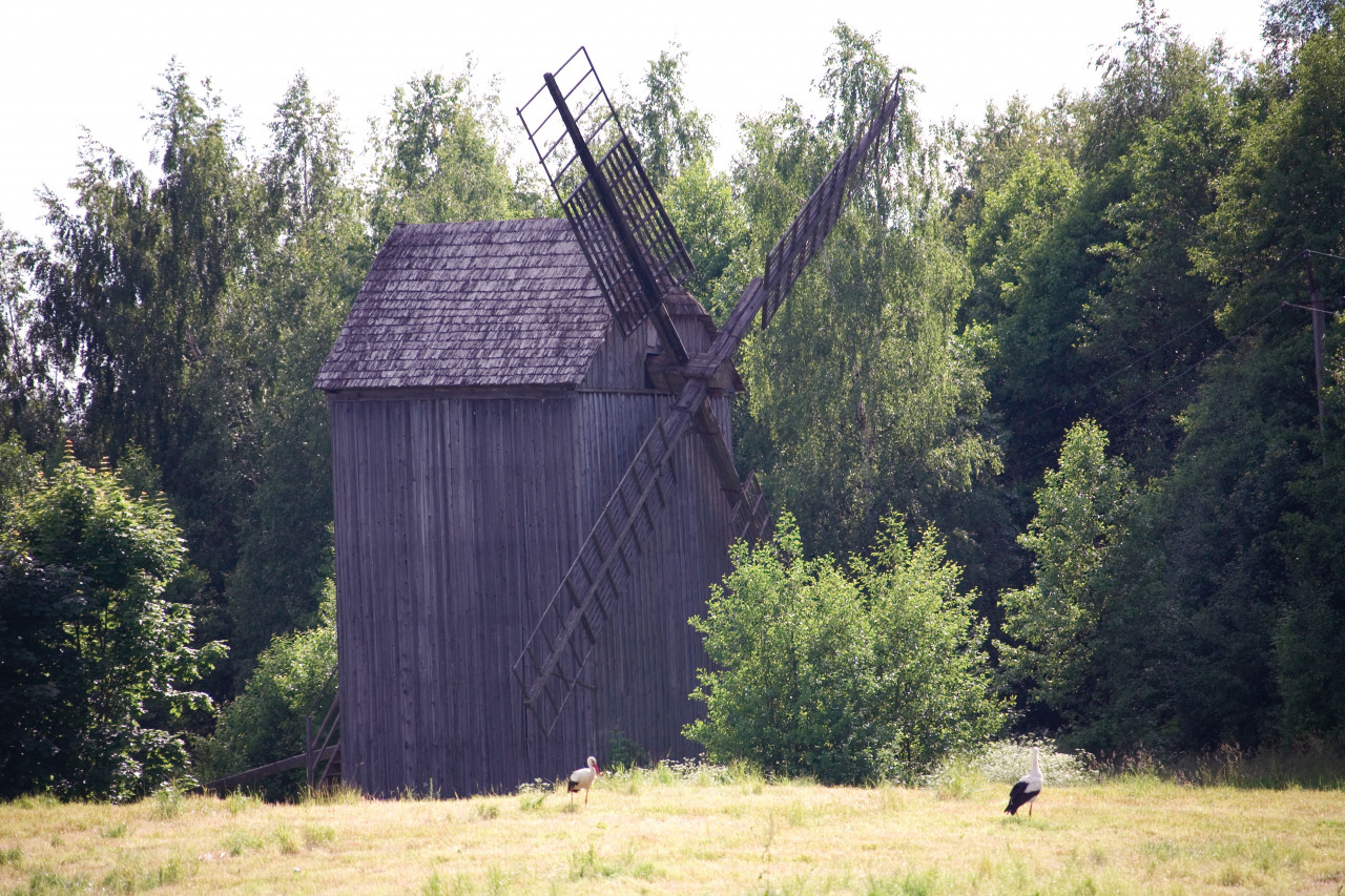 Vieux moulin au musée biélorusse de la Vie et de l'Architecture paysanne.