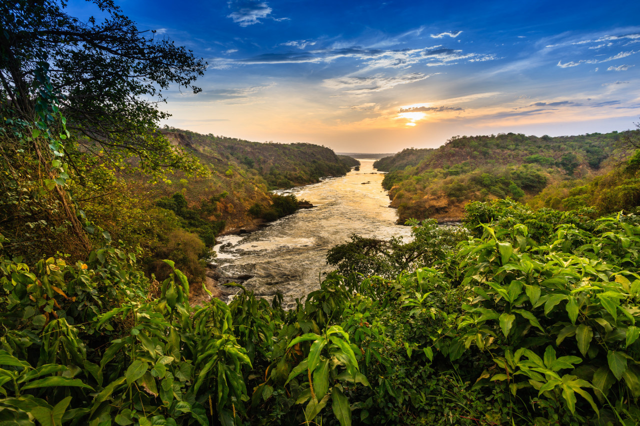 Victoria Nile traversant Murchison Falls National Park.