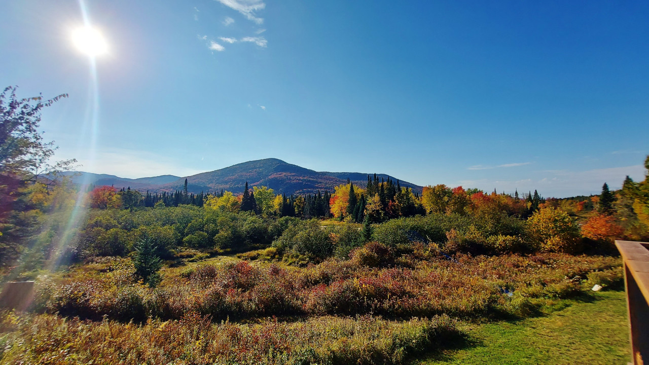 Couleurs d'automne dans les Laurentides.