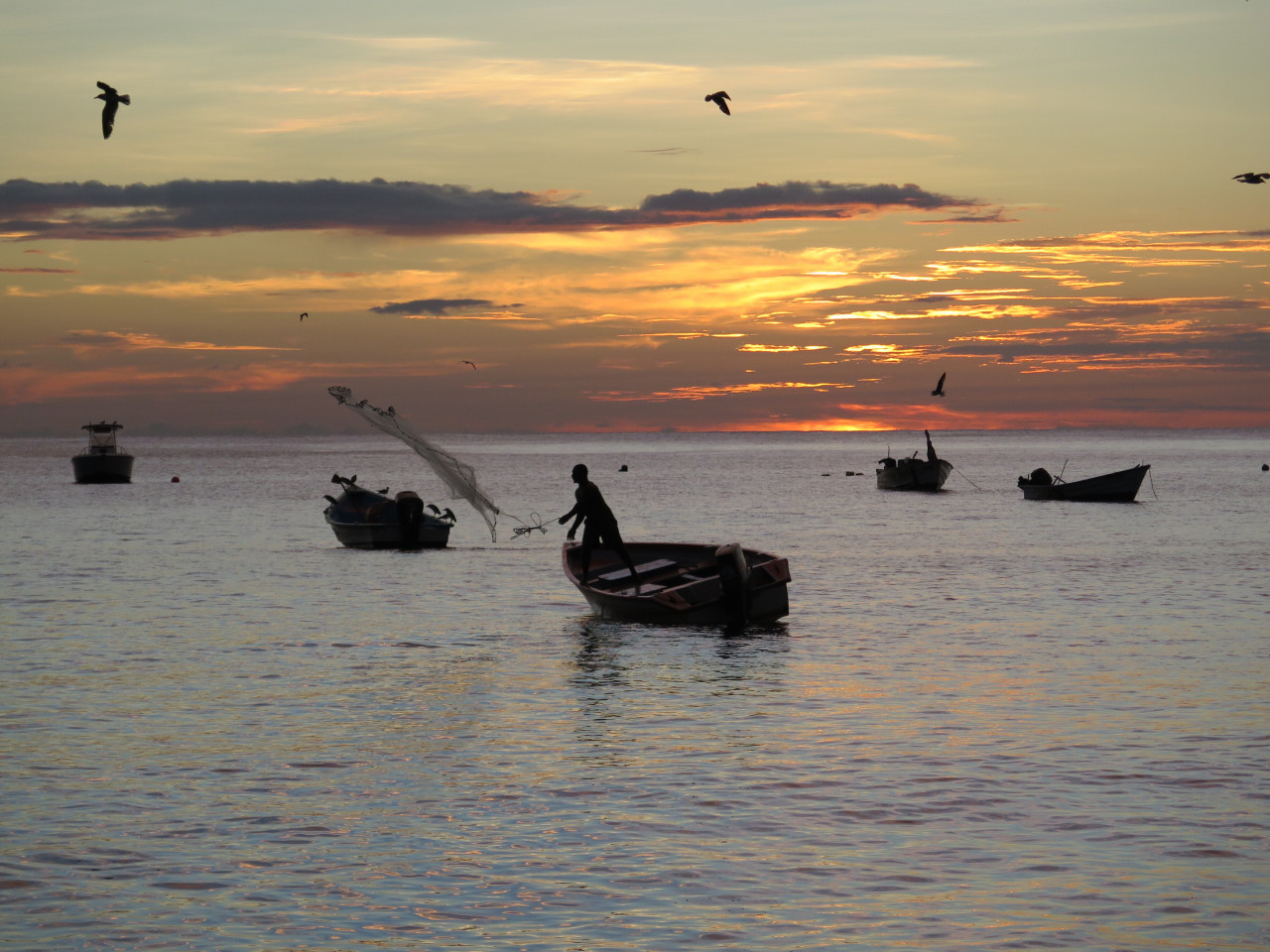 Pêcheur dans la baie de Castara.