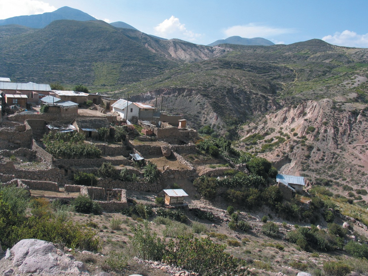 Village dans la vallée d'Azapa