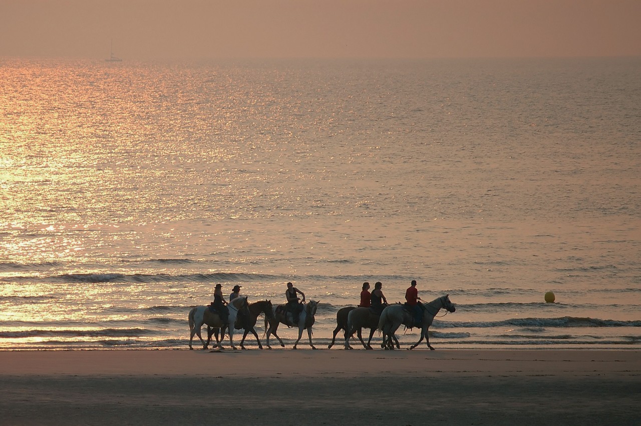 Cavaliers sur la plage du Touquet