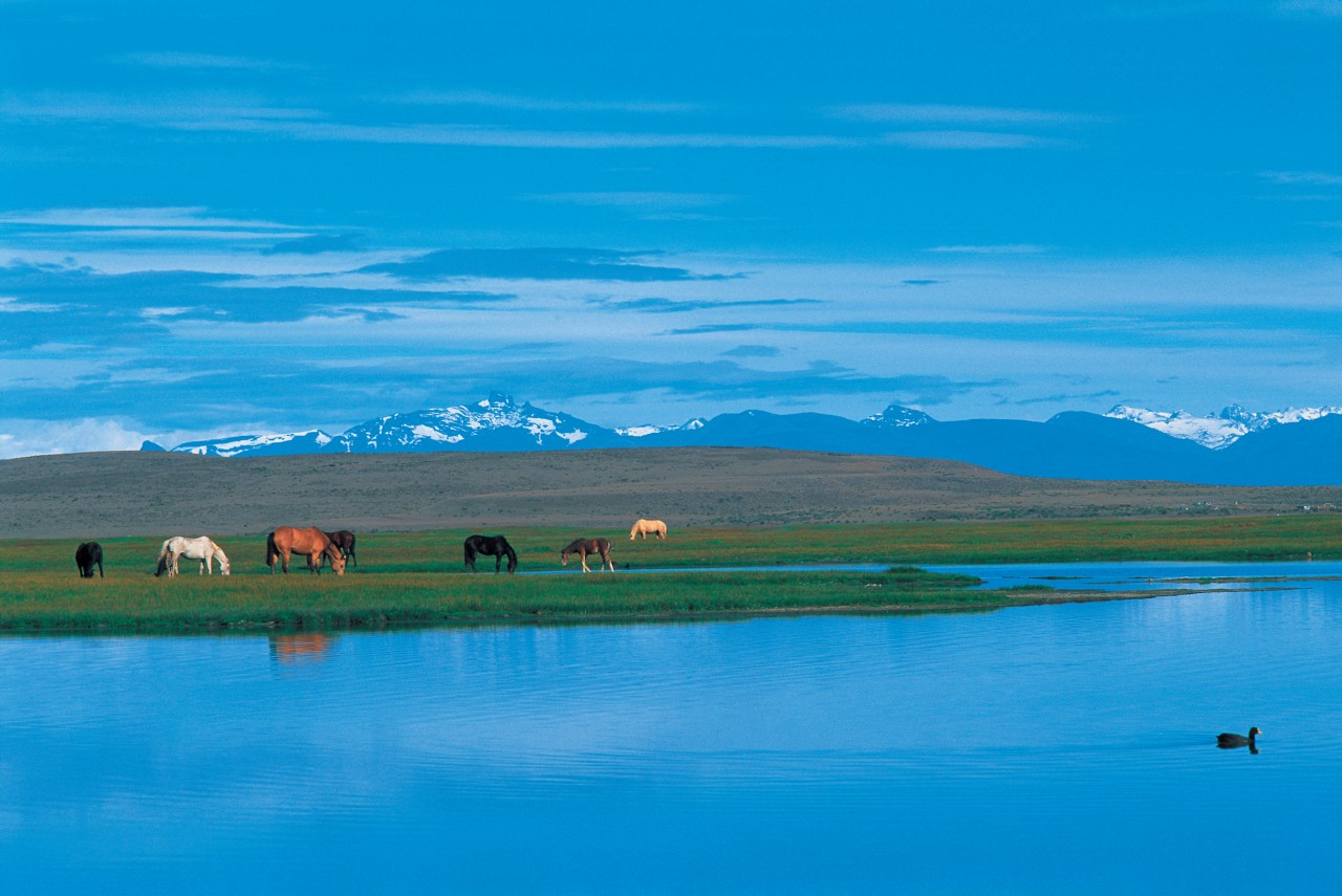 Lac des environs d'El Calafate.