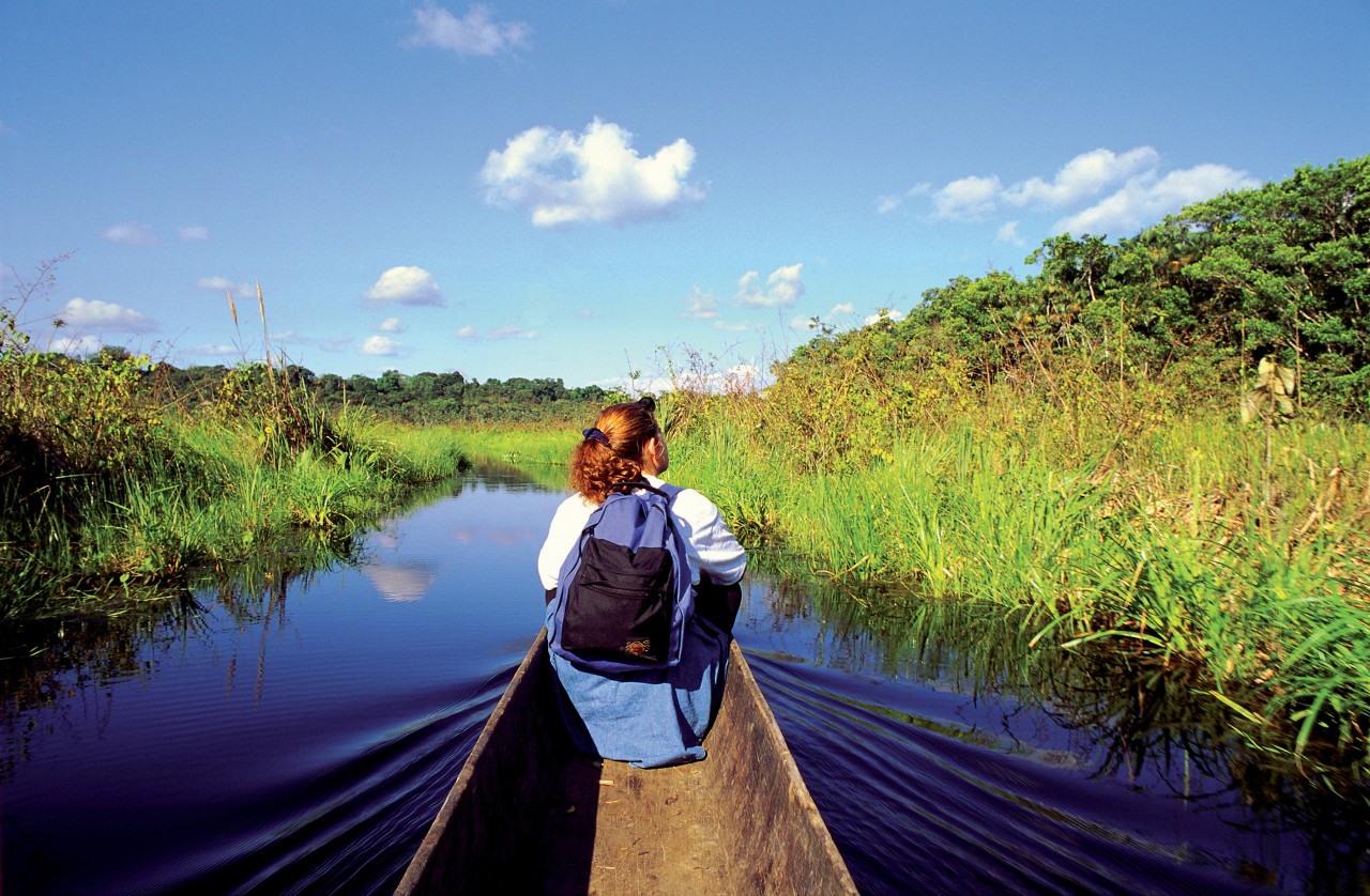 Découverte de la réserve de Rio Napo, environs de Coca.