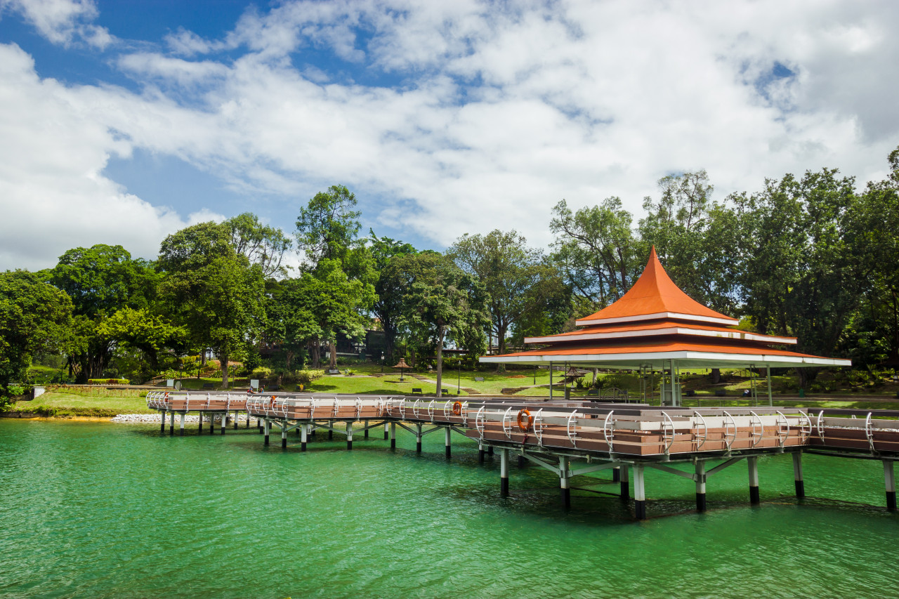 Macritchie Reservoir.