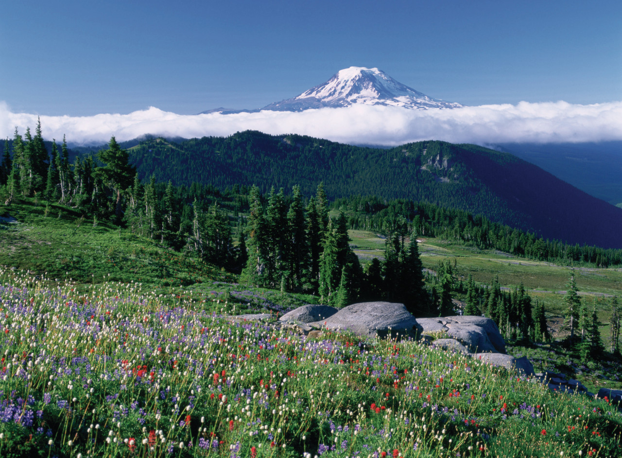 Mount Rainier.