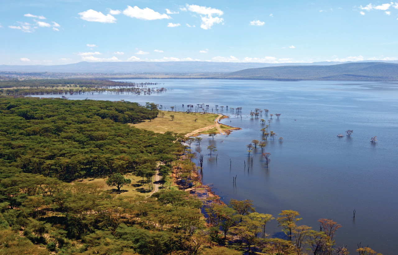 <p>Lac Nakuru.</p>