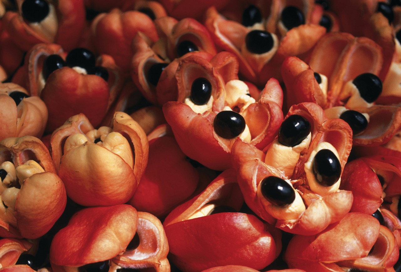 Vente d'ackees (le légume national) sur le marché de Kingston.