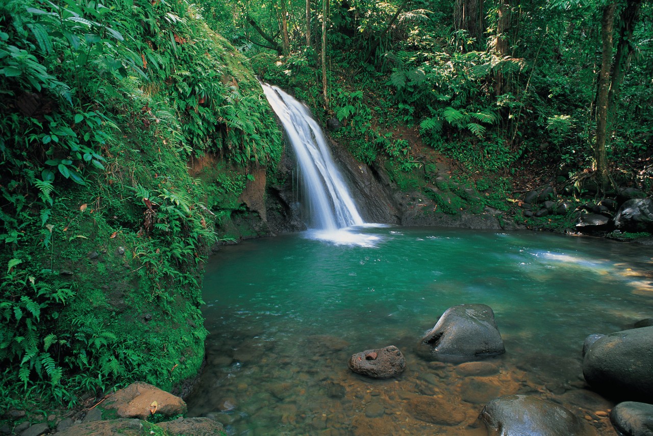 Cascade aux écrevisses.