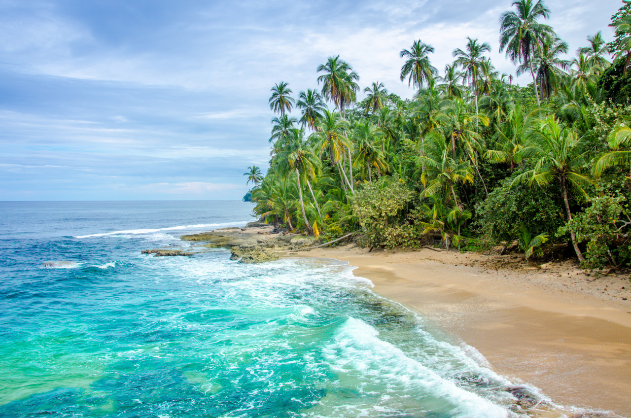 <p>Plage de Manzanillo.</p>