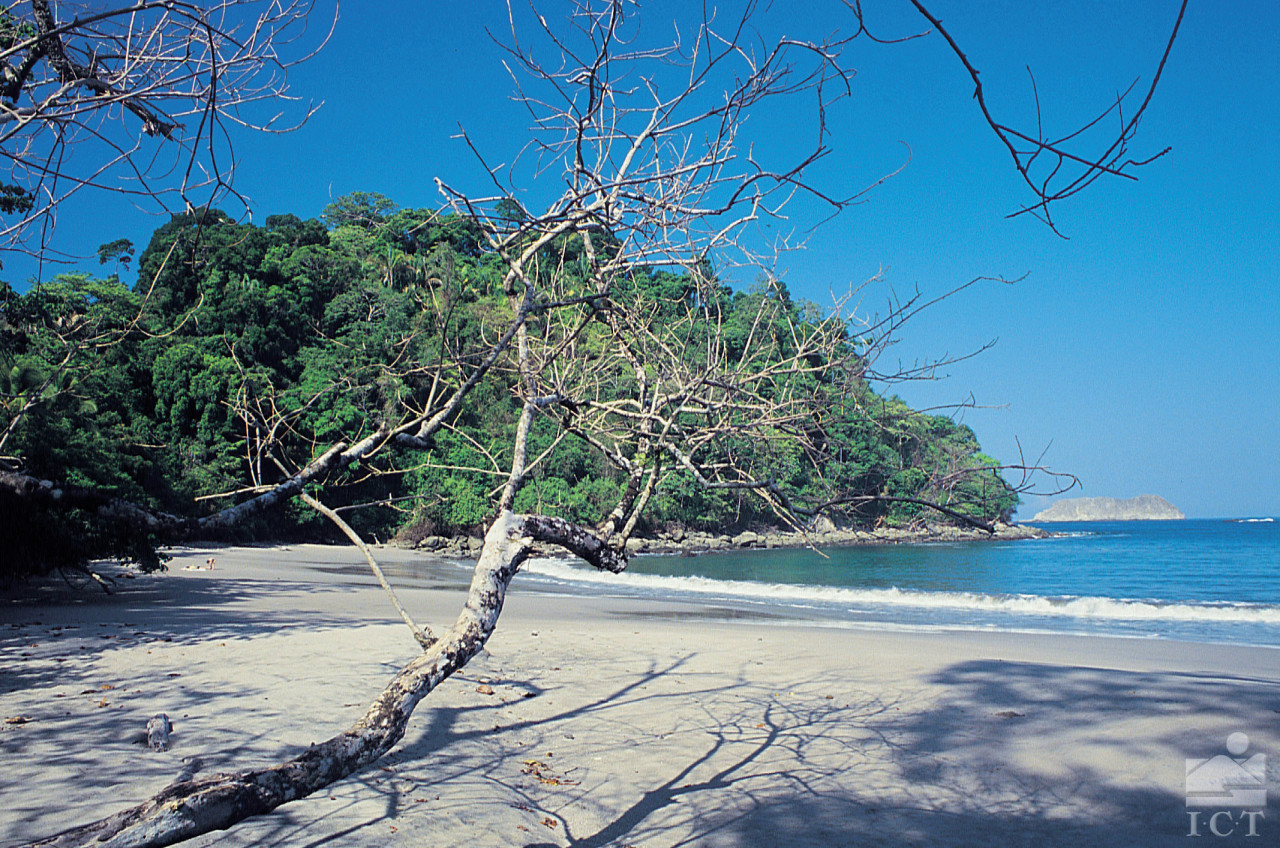 Plage de Tamarindo