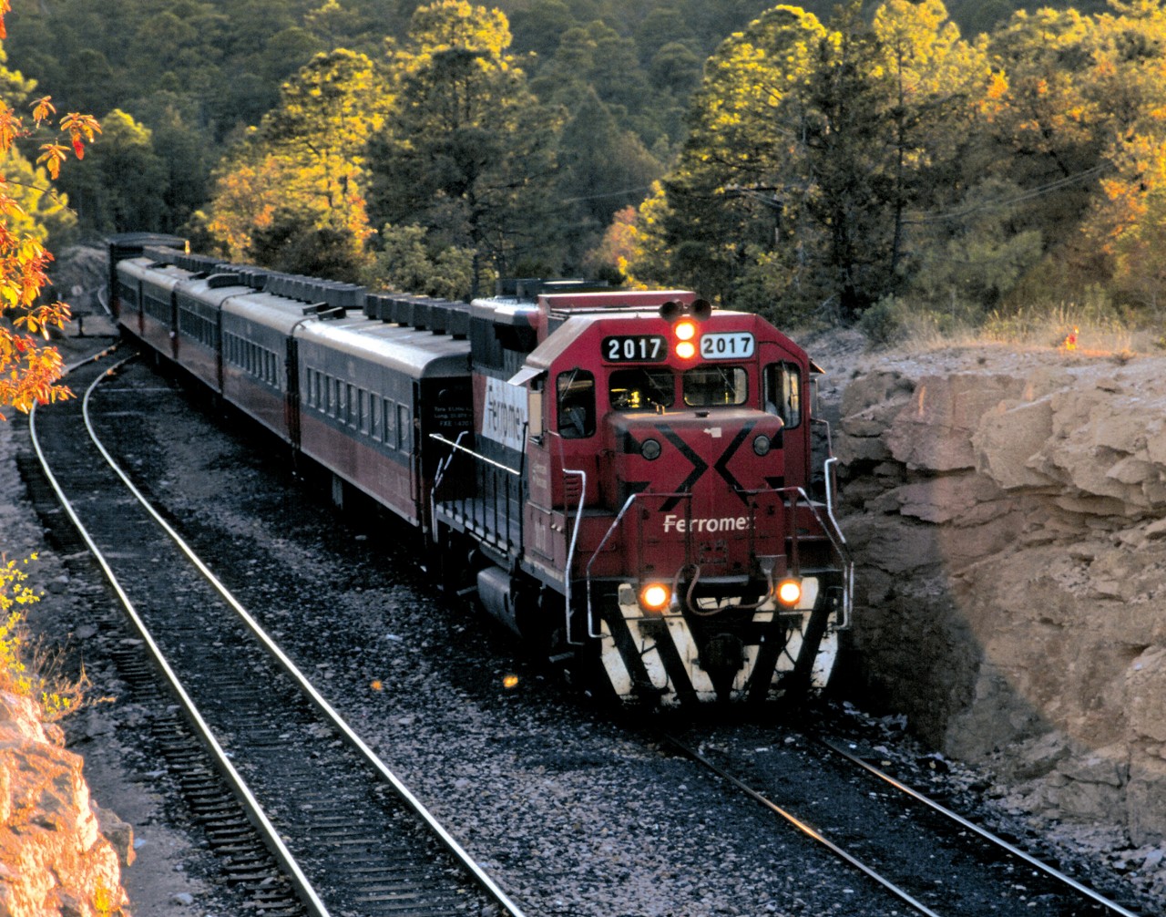 Train à Divisadero.