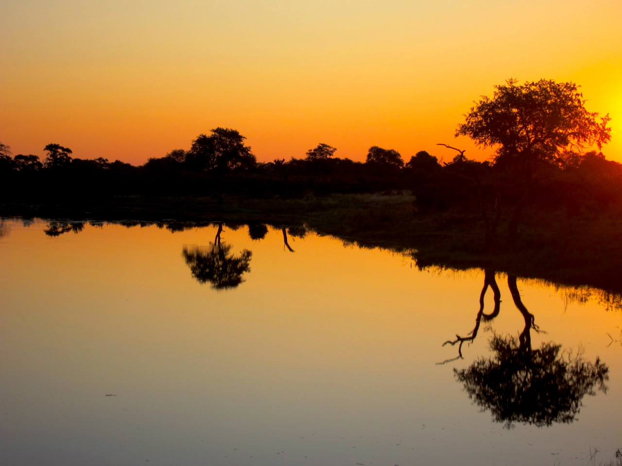 Coucher de soleil sur la rivière Kwando.