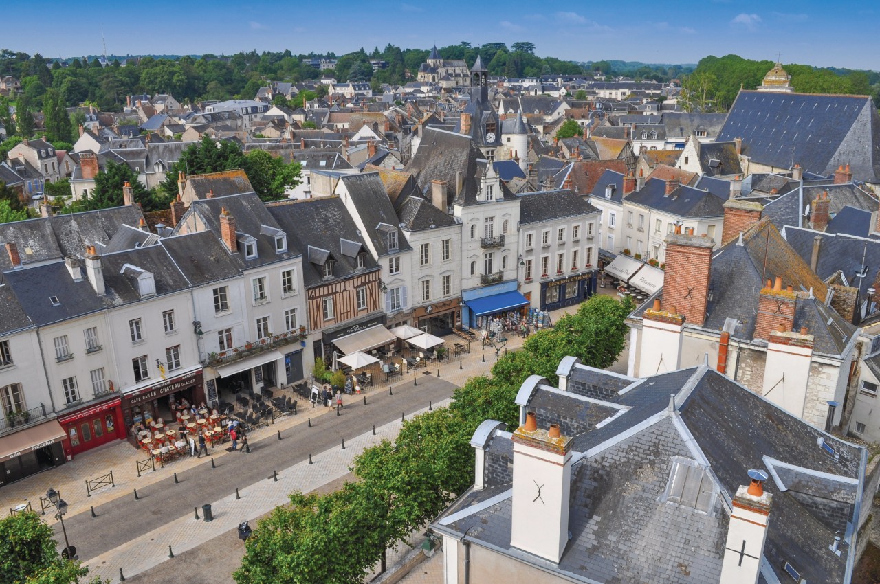 Vue sur la ville d'Amboise.