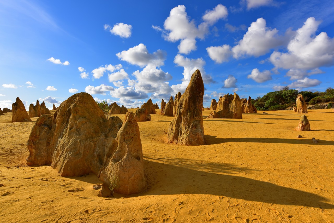 Le Pinnacles Desert, célèbre pour ses formations rocheuses calcaires, dans le parc national de Na.