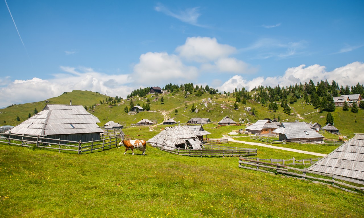 Le plateau de Velika Planina.