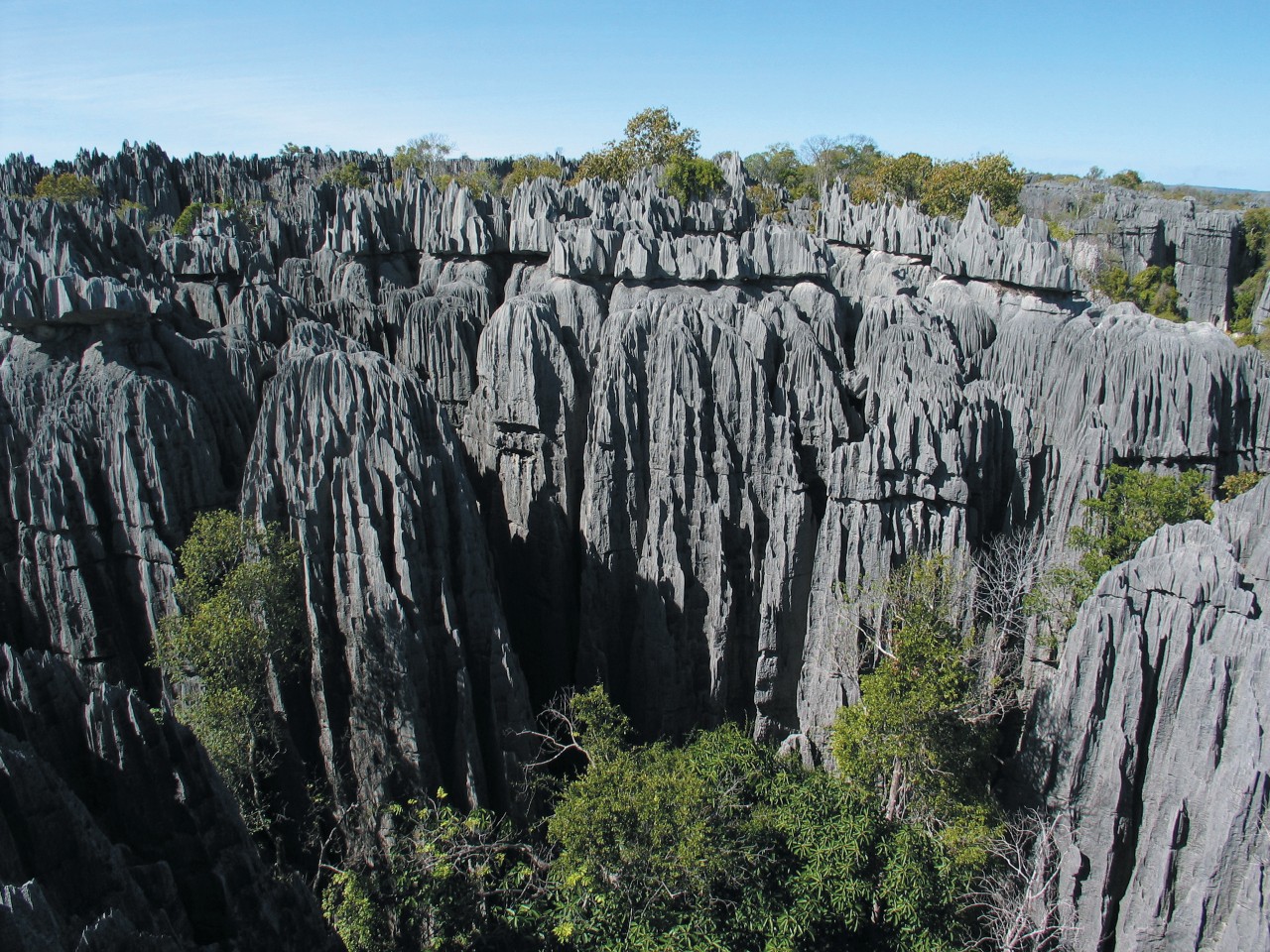 Grands Tsingy de Bemaraha