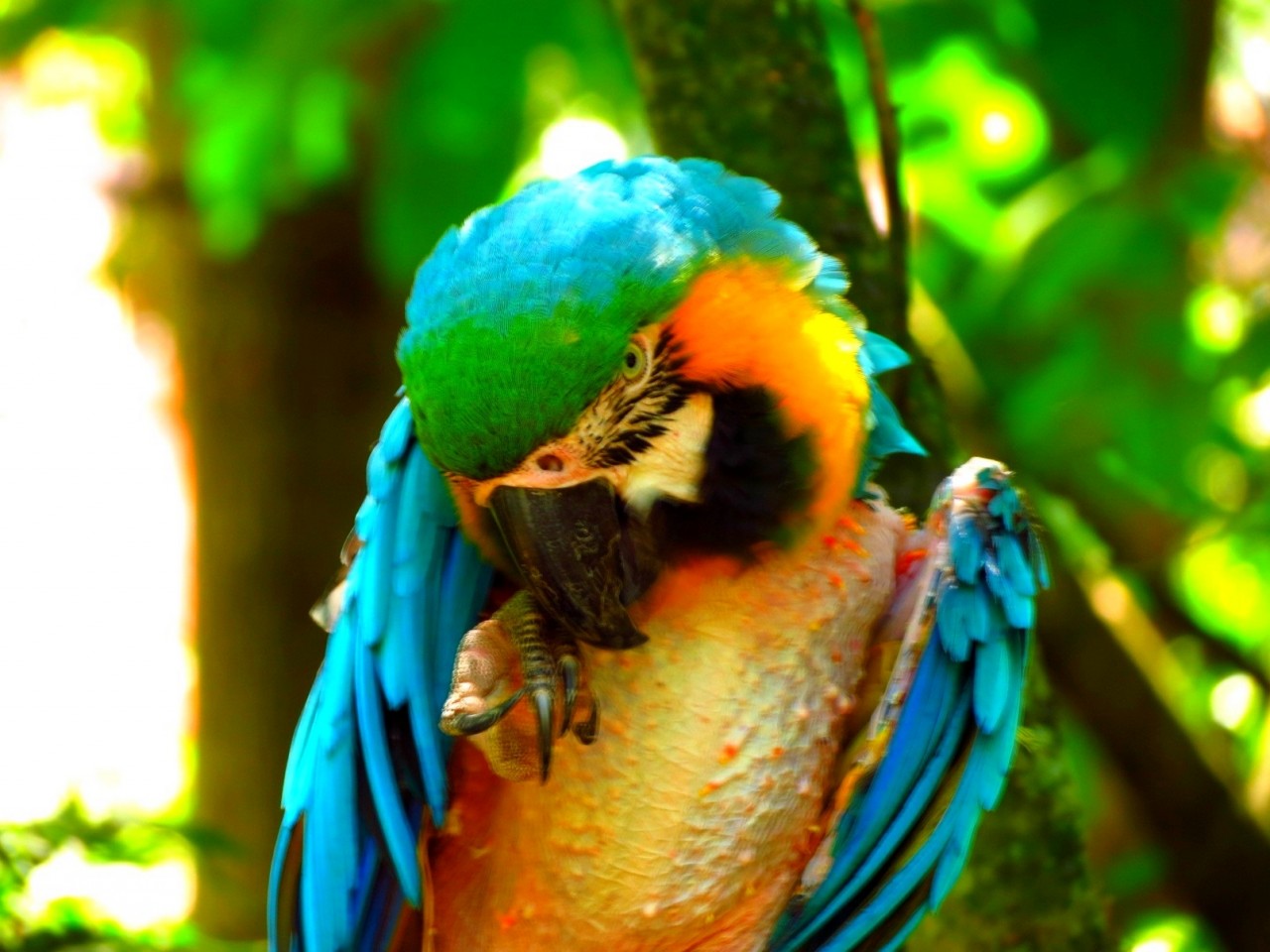 Rencontre colorée.