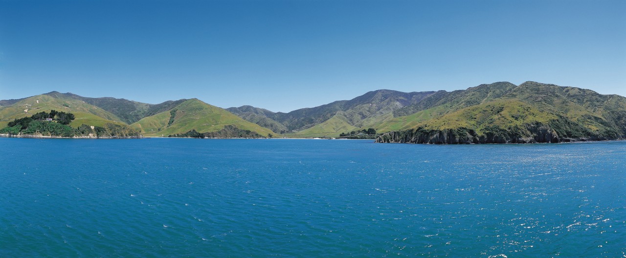 Entre Ile du Sud et Ile du Nord, arrivée à Nelson