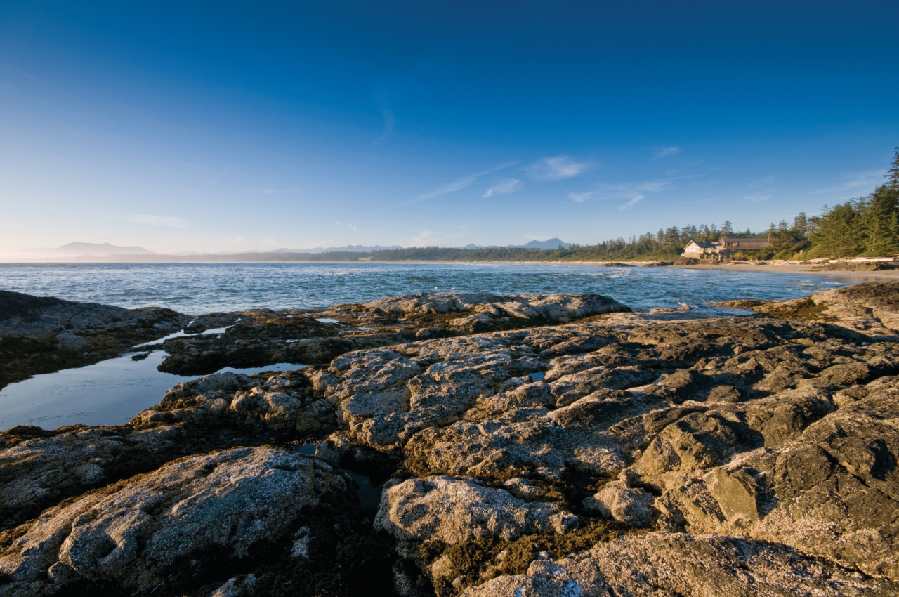 A l'ouest de l'île de Vancouver, le Pacific Rim national Park longe la côte sauvage du Pacifique.