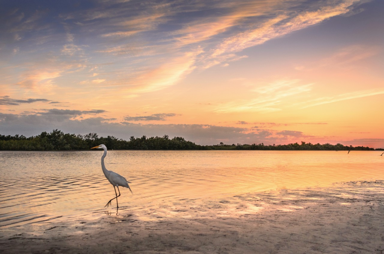 Marco Island.