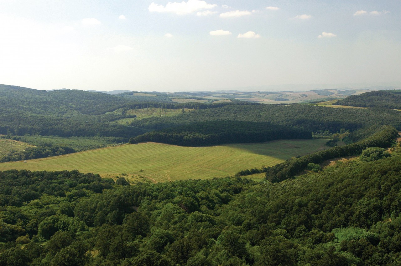 Campagne dans les environs d'Hollókő.