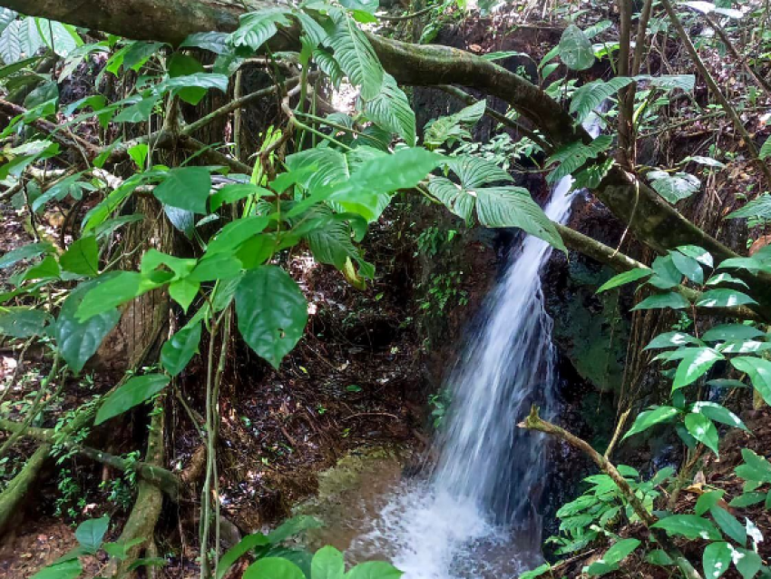 Wasserfall von Ouanary