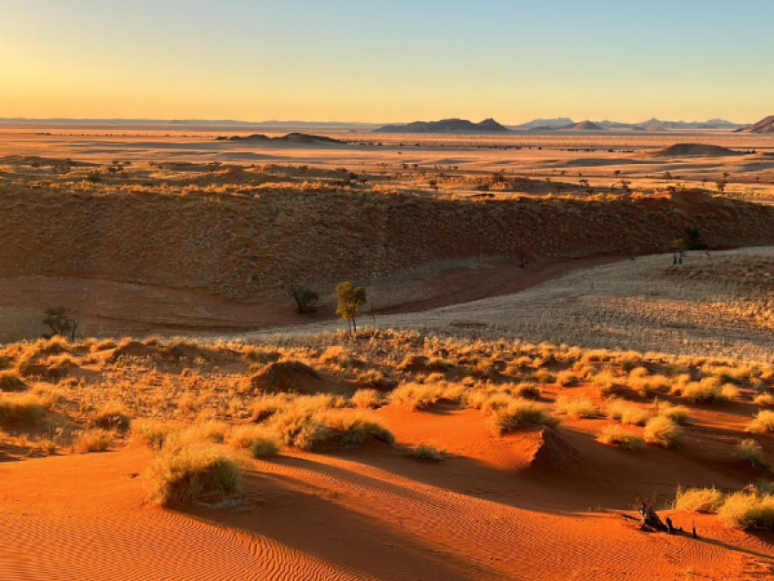 Afrikanische Eleganz Safaris Namibia