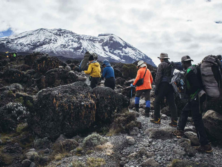 Kilimanjaro Wandererlebnisse