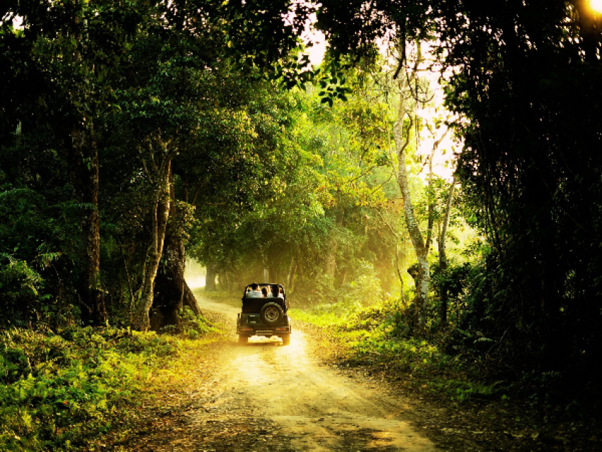 Kerala